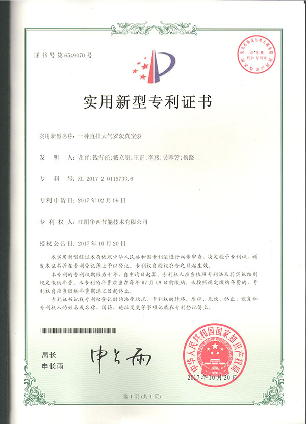 一種直排大氣羅茨真空泵